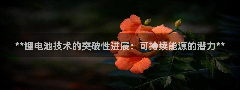 尊龙凯时存款多久到账