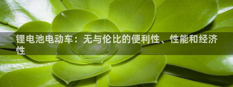 尊龙游戏app官方网站