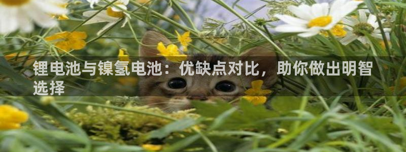 尊龙凯时麻将胡了