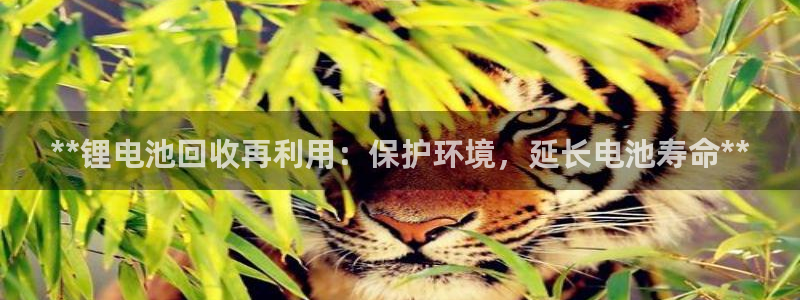 尊龙凯时ag旗舰厅官网客服