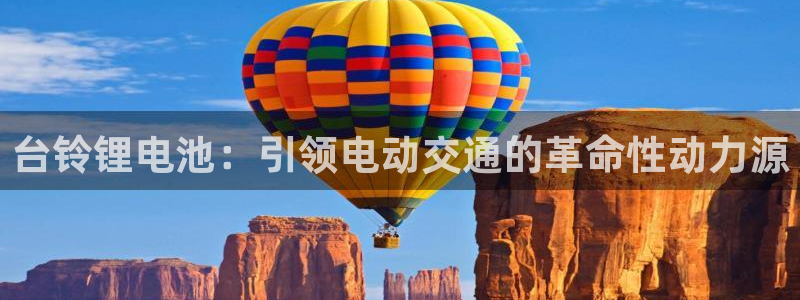 尊龙凯时白家乐Abb下载：台铃锂电池：引