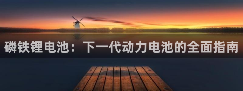 尊龙d88皆选ag发财网：磷铁锂电池：下