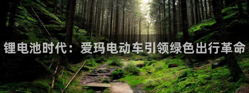 尊龙网页