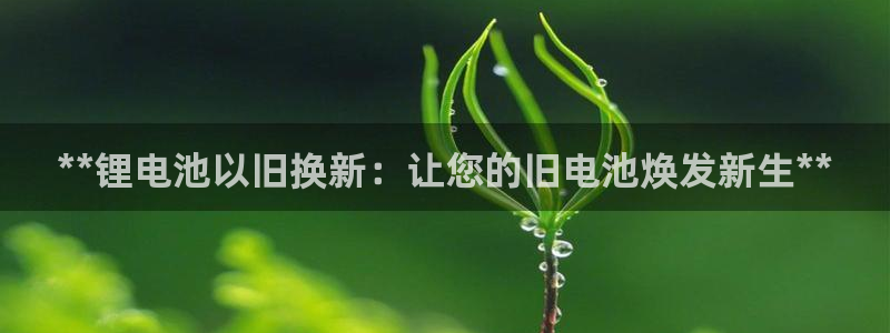 z6尊龙凯时旗