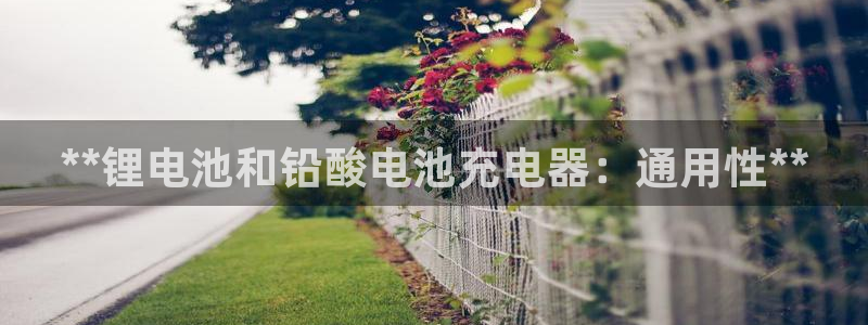 尊龙凯时白家乐