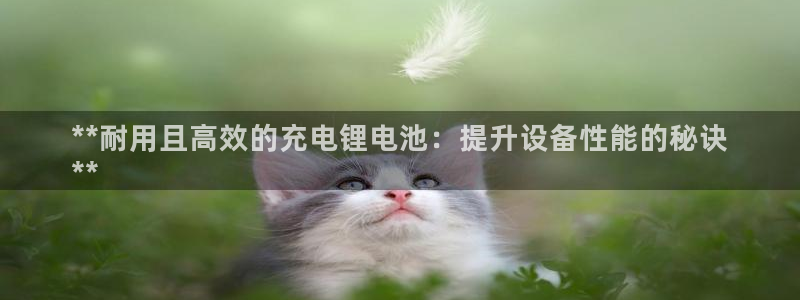 尊龙凯时取款一直支付中