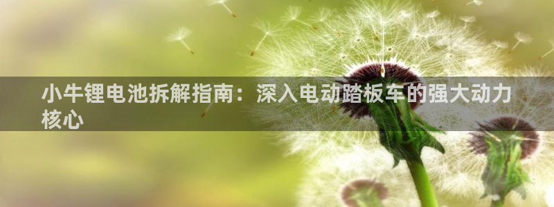 尊龙人生就是博AG旗舰厅