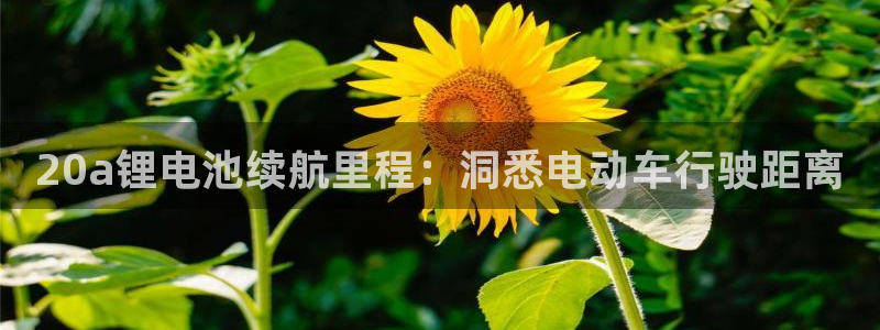 尊龙物流怎么样
