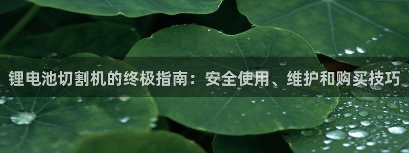 尊龙凯时充值不到账