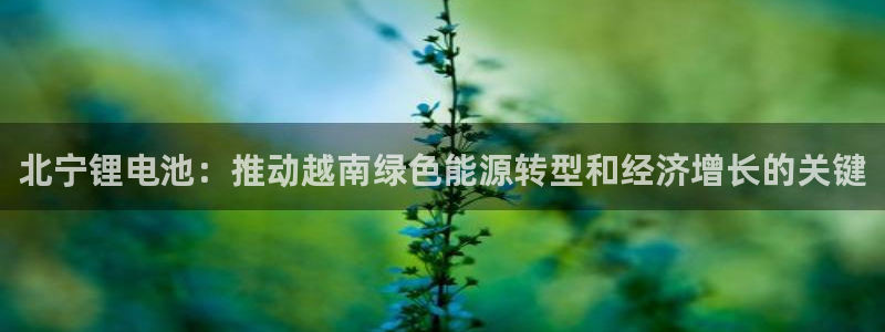 尊龙t400和尊龙t300区别