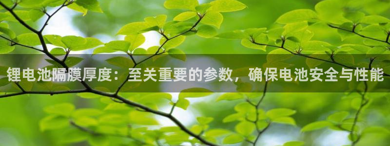 尊龙人生就是博网站