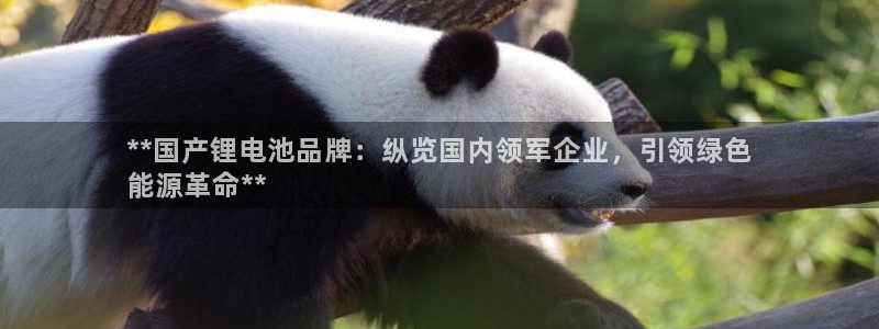 尊龙凯时账号异常审核提不了款怎么办