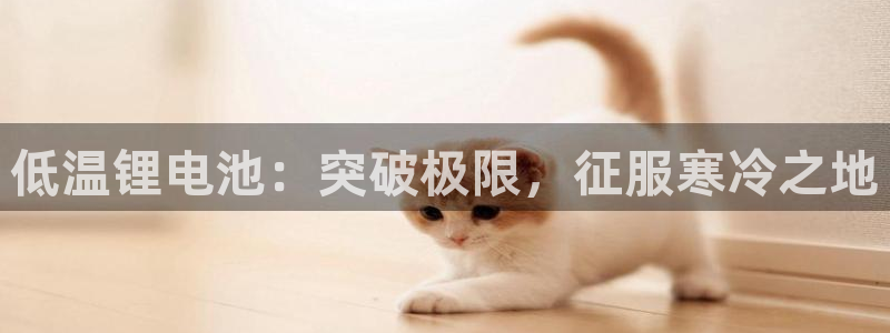 尊龙凯时官网网页版