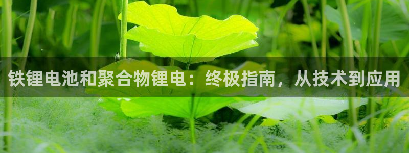 尊龙新版手机app下载