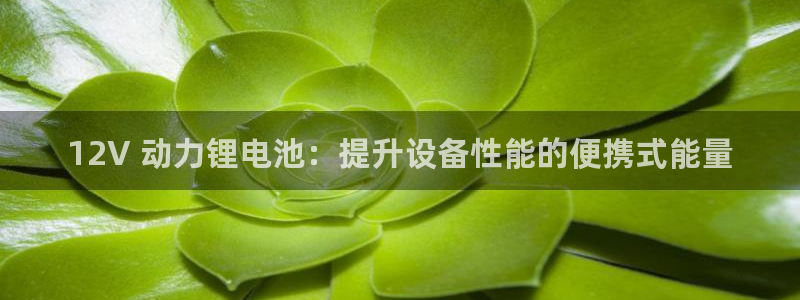 尊龙人生就是博