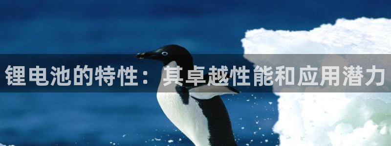 尊龙凯时代理佣金发不发