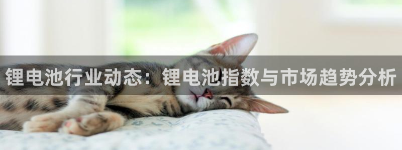 尊龙凯时只输不赢