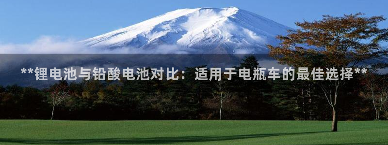 尊龙凯时产品种类：**锂电池与铅酸电池对比：适用于电瓶车的最佳选择**