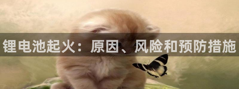 尊龙人生就是博现金