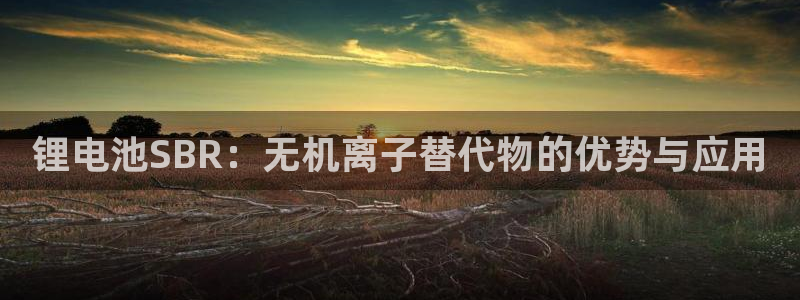 尊龙凯时ag旗舰厅