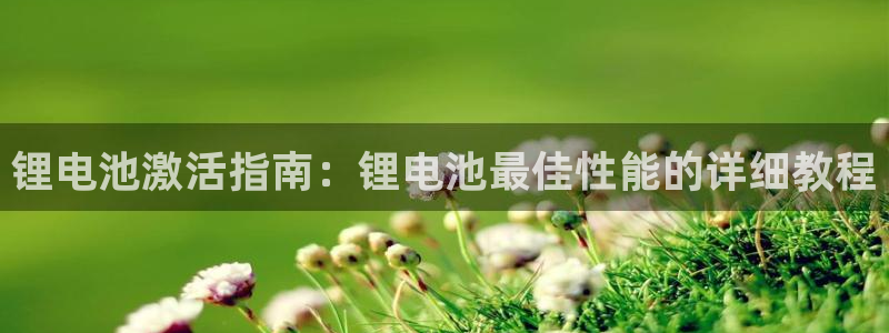 尊龙凯时城游戏官网：锂电池激活指南：锂电池最佳性能的详细教程