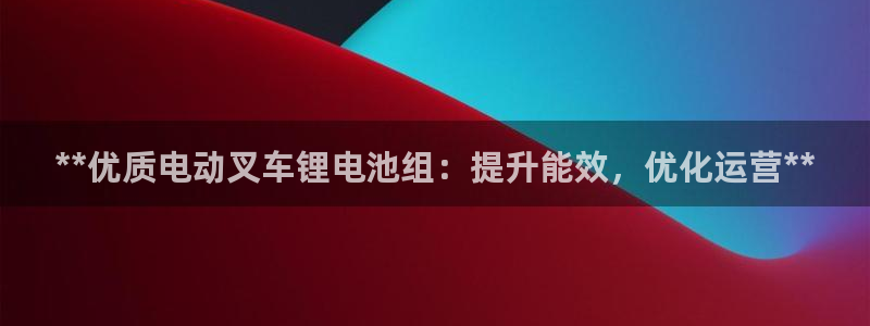 尊龙专访视频：**优质电动叉车锂电池组：提升能效，优化运营**
