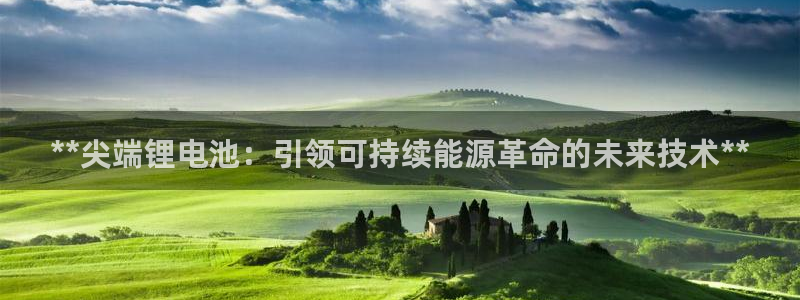 尊龙凯时能提现吗：**尖端锂电池：引领可持续能源革命的未来技术**