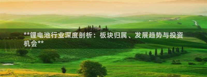 尊龙凯时取钱很慢：**锂电池行业深度剖析：板块归属、发展趋势与投资
机会**
