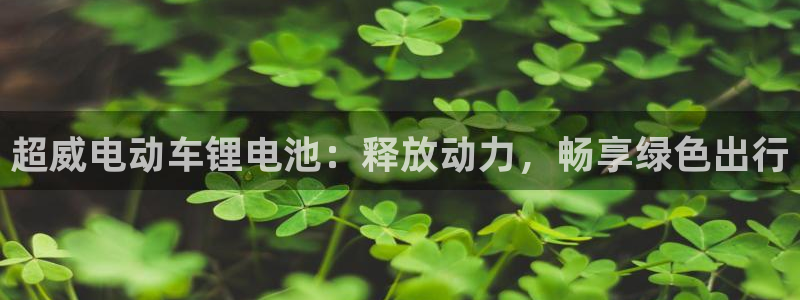 尊龙凯时几百万怎么下：超威电动车锂电池：释放动力，畅享绿色出行