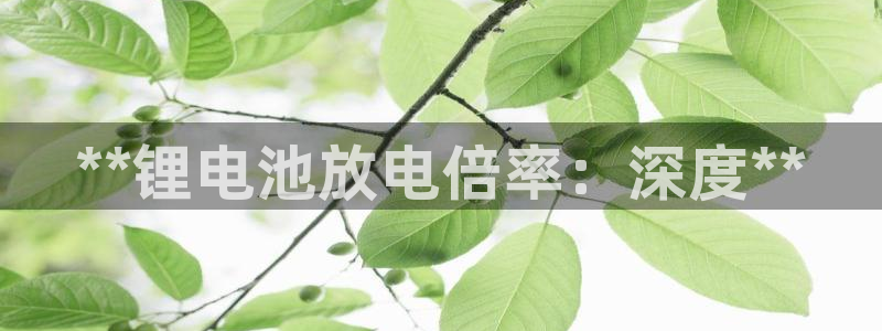 尊龙凯时新闻