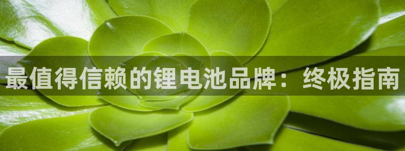 尊龙官方网址