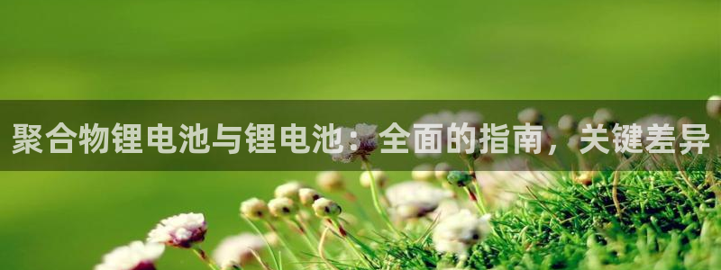 尊龙d88官网QU来就送38：聚合物锂电