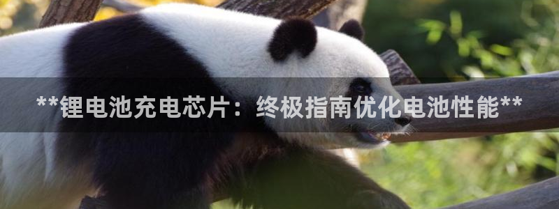 尊龙官网下载：**锂电池充电芯片：终极指南优化电池性能**