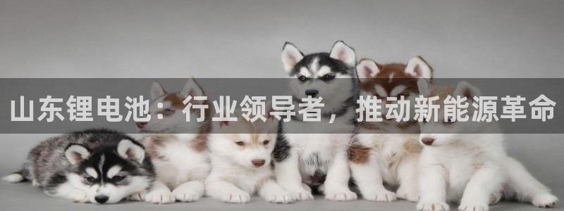 尊龙凯时论坛