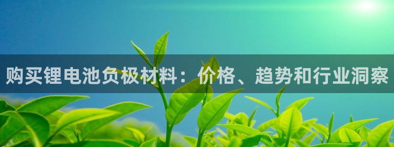 凯时app赢AG发财网来就送38：购买锂电池负极材料：价格、趋势和行业洞察
