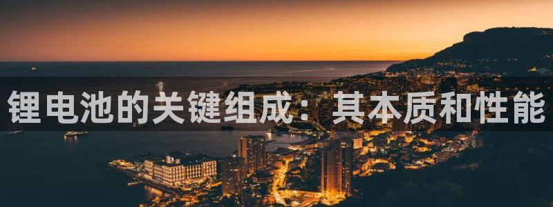 尊龙凯时网站不让提款：锂电池的关键组成：其本质和性能