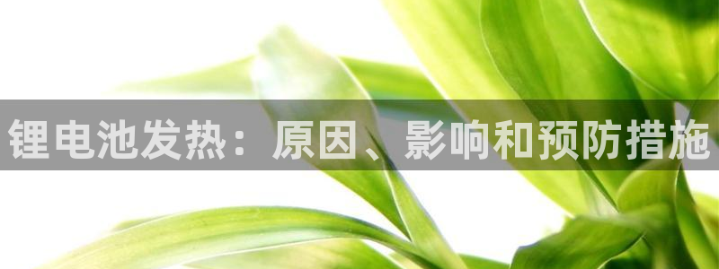 凯时k66娱乐登录：锂电池发热：原因、影响和预防措施