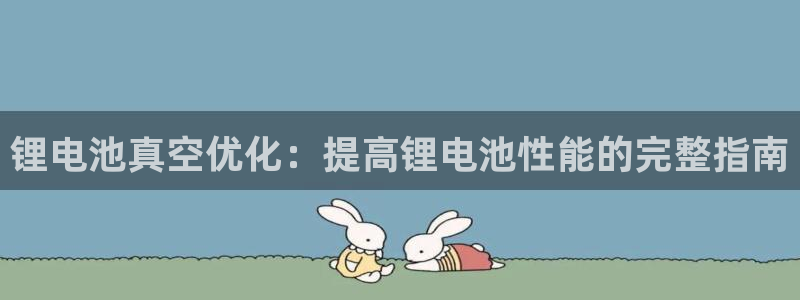 凯时登录平台去AG发财网：锂电池真空优化：提高锂电池性能的完整指南