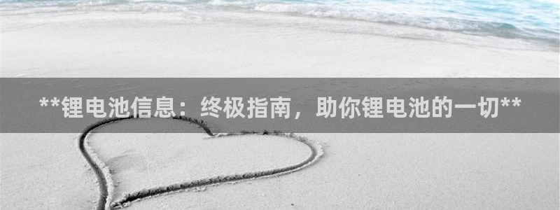 尊龙凯时有限公司：**锂电池信息：终极指南，助你锂电池的一切**