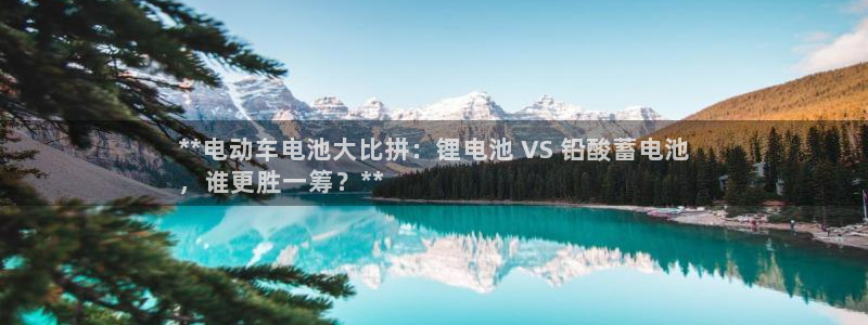 尊龙凯时平台官网：**电动车电池大比拼：锂电池 VS 铅酸蓄电池
，谁更胜一筹？**