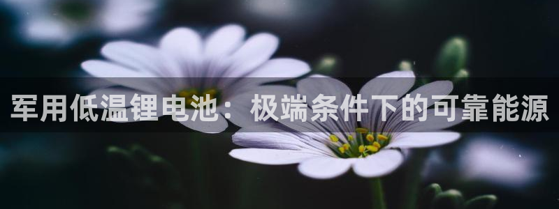 凯时app赢AG发财网来就送38：军用低温锂电池：极端条件下的可靠能源