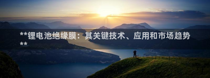 尊龙集团有限公司官网地址：**锂电池绝缘膜：其关键技术、应用和市场趋势
**