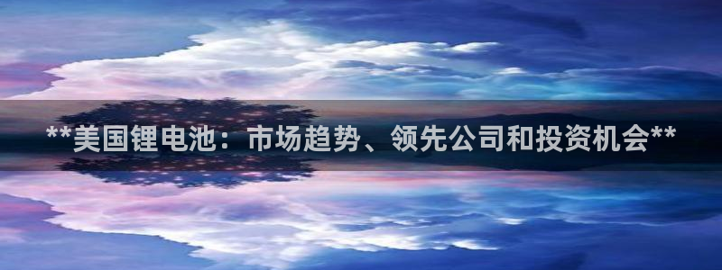 尊龙凯时充十万返现多少：**美国锂电池：市场趋势、领先公司和投资机会**