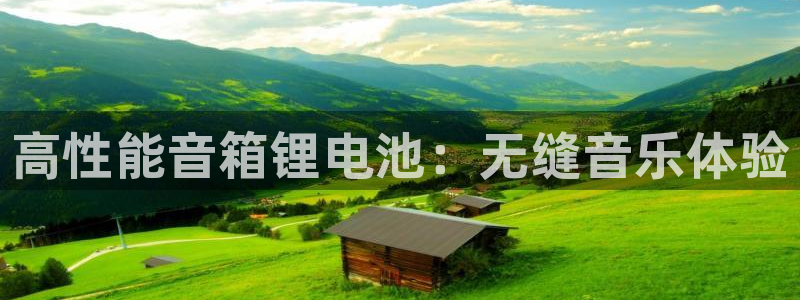 尊龙凯时电竞注册：高性能音箱锂电池：无缝音乐体验