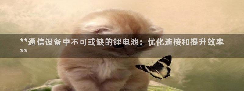 尊龙app下载官网：**通信设备中不可或缺的锂电池：优化连接和提升效率
**