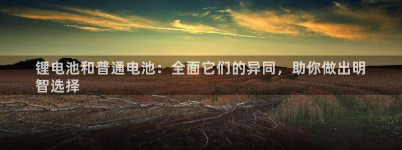 尊龙人生就是博菲律宾台子：锂电池和普通电池：全面它们的异同，助你做出明
智选择