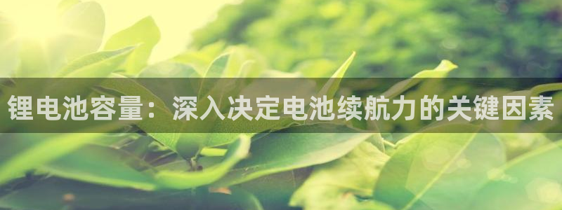 尊龙d88现金旧版本