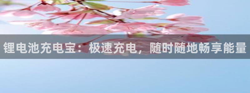 z6com尊龙凯时百家乐：锂电池充电宝：极速充电，随时随地畅享能量
