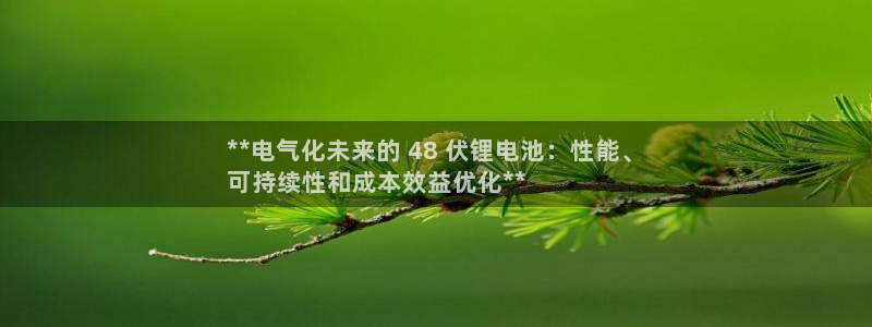 尊龙体育怎么样：**电气化未来的 48 伏锂电池：性能、
可持续性和成本效益优化**
