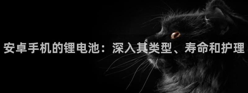 尊龙凯时赢不了：安卓手机的锂电池：深入其